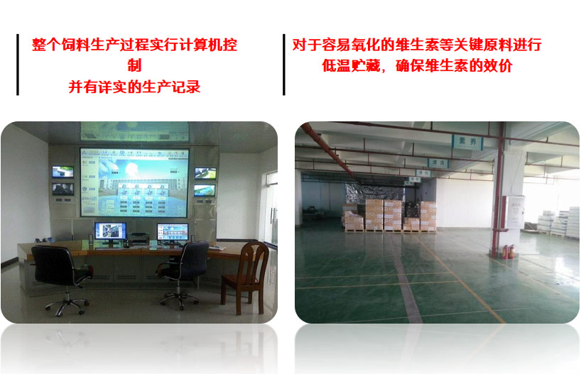 全新的布勒設備生產(chǎn)線