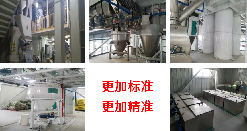 全新的布勒設備生產(chǎn)線